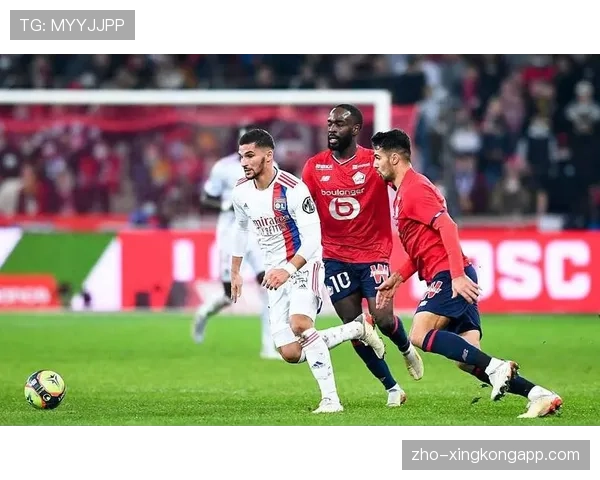 里尔与里昂同积二十分 欧冠资格争夺战日趋激烈